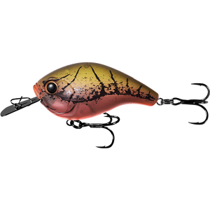 13 Fishing Jabber Jaw