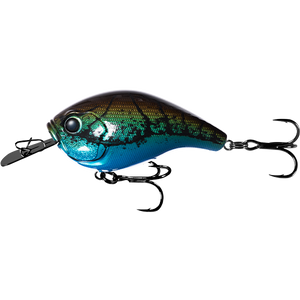 13 Fishing Jabber Jaw