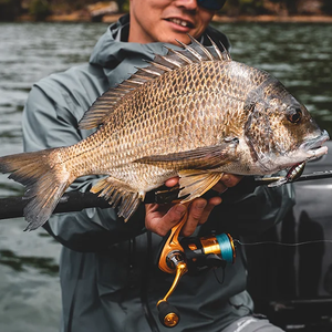 Daiwa 23 Aird LT Spin Reel