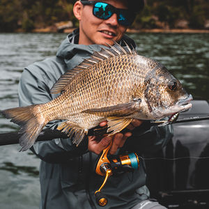 Daiwa Aird LT Spin Reel
