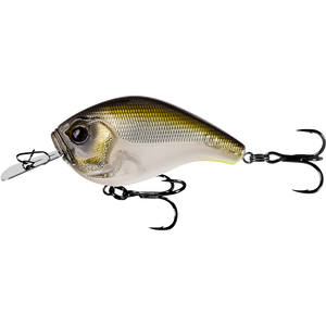 13 Fishing Jabber Jaw