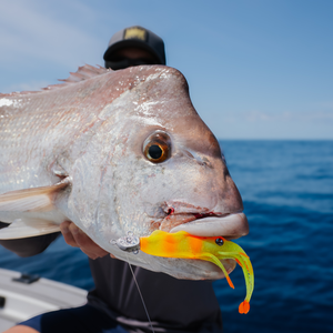 Nomad Live Op Jerksquid 7"