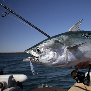 TT Hard Core + Metals