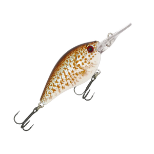 Fishcraft B Cranky