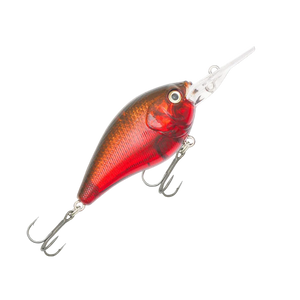 Fishcraft B Cranky