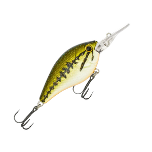 Fishcraft B Cranky