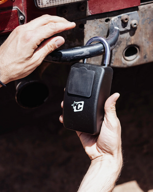 Creatures Stash Lock Large