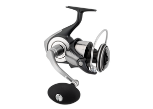 Daiwa 26 Certate SW