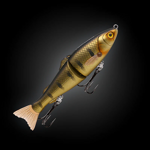 Fishcraft Dr Glide Lure