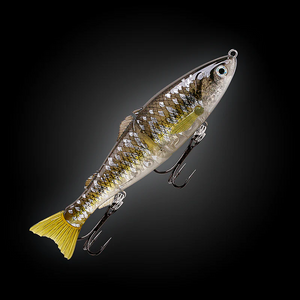 Fishcraft Dr Glide Lure