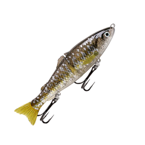 Fishcraft Dr Glide Lure