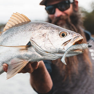 Daiwa Bait Junkie Herring