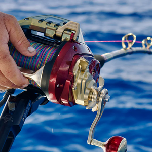 Daiwa 24 Seaborg G Electric Reel