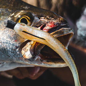 Daiwa Bait Junkie Herring