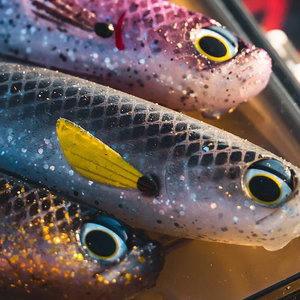 Daiwa Bait Junkie Mega Minnow