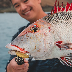 Daiwa Bait Junkie 4' Prawn