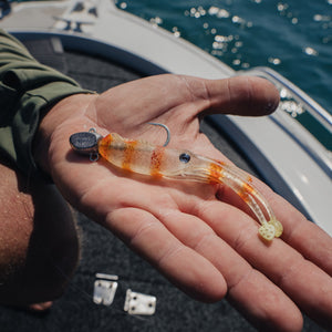 Nomad Live Op Jerksquid 7"