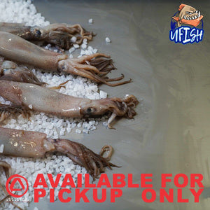 UFISH PREMIUM QUALITY BAIT