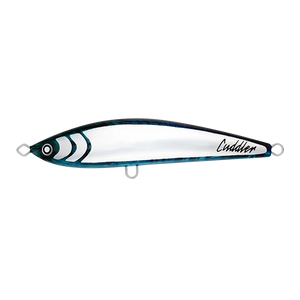 Daiwa Saltiga Cuddler