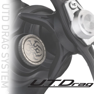 Daiwa 23 Tatula TW 100
