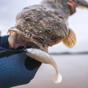 Berkley Powerbait Paddlestinger