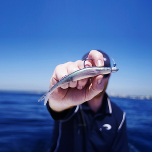 Pro Lure Prey Minnow X-Tough
