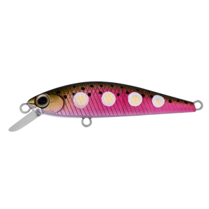 Daiwa Silvercreek DR Minnow Jointed 50s