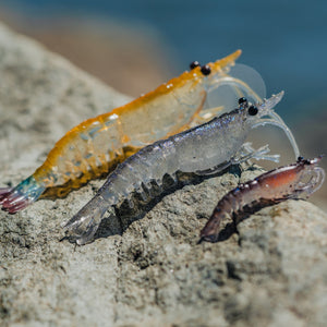 Nomad Live Ops Switcher Shrimp 3.5"