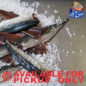 UFISH PREMIUM QUALITY BAIT