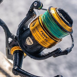 Penn Spinfisher VII Spin Reel