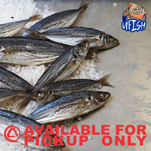 UFISH PREMIUM QUALITY BAIT