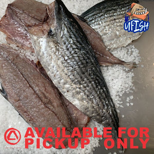 UFISH PREMIUM QUALITY BAIT