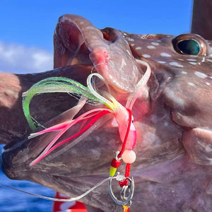 Snapbait Chikara Assist Hooks