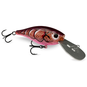 13 Fishing Jabber Shad