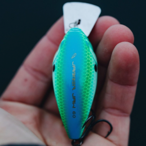 13 Fishing Jabber Jaw