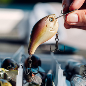 13 Fishing Jabber Jaw