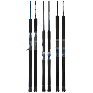 Daiwa 25 Spartan Rod