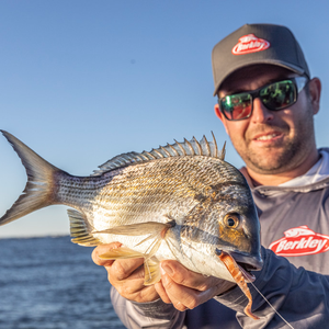 Berkley GULP! Nemesis Prawn Curl Tail