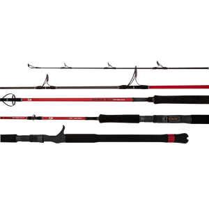 Daiwa 20 Demon Blood Rod