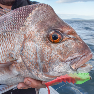 Berkley GULP! Nemesis Prawn Curl Tail