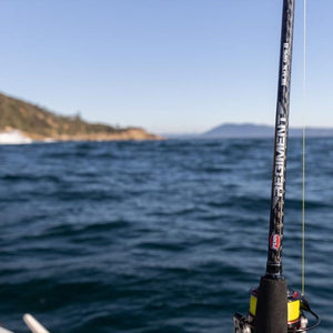 Penn Regiment Inshore - Black Ops II Rod