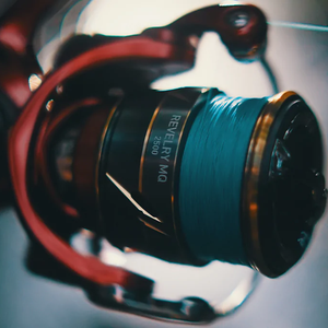 Daiwa 21 Revelry MQ FC Spin Reel