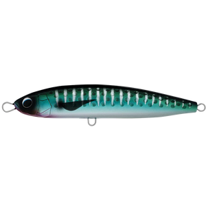 Daiwa Saltiga Rough Ride