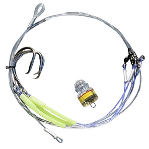 Bay Explorer The Big Blue Custom Rig