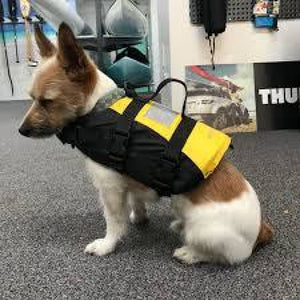 Burke Pet Lifejacket Safety Equipment