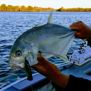 Fish Inc Lures FLY HALF 80MM