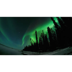 Gopro Tripod Mount & Tripod Gopro