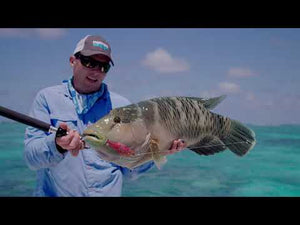 Nomad Design Inshore Spin Rods