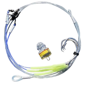 Bay Explorer The Puka Custom Rig