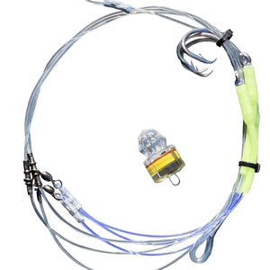 Bay Explorer The Bar Custom Rig